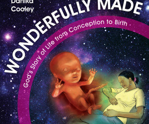 Wonderfully Made by author Danika Cooley